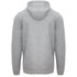 Aquascutum Aldis Emblem Logo Grey Hoodie
